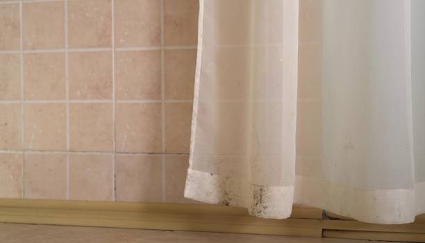 Best Mold Damage Restoration  in Bloomingdale, NJ