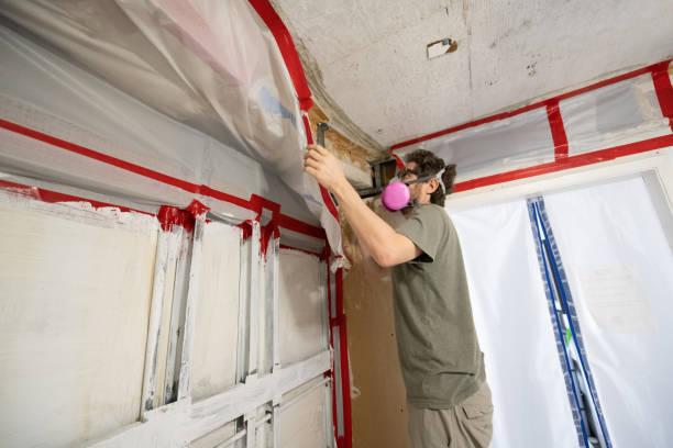 Best Basement Mold Removal  in Bloomingdale, NJ