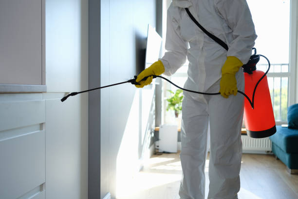 Best Crawl Space Mold Remediation  in Bloomingdale, NJ