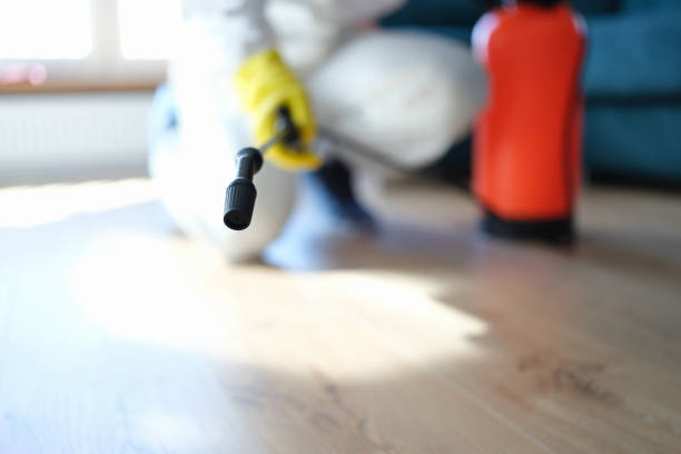 Best Post-Remediation Verification Testing  in Bloomingdale, NJ