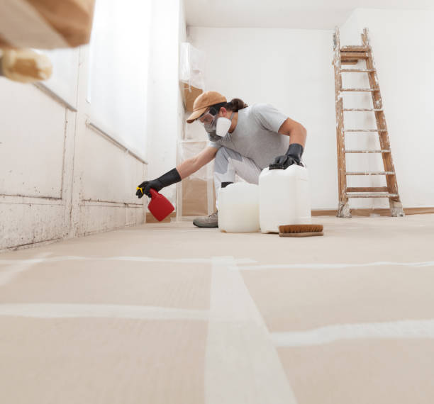 Best Black Mold Removal  in Bloomingdale, NJ