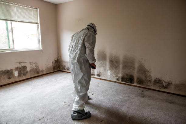 Biohazard Mold Removal in Bloomingdale, NJ