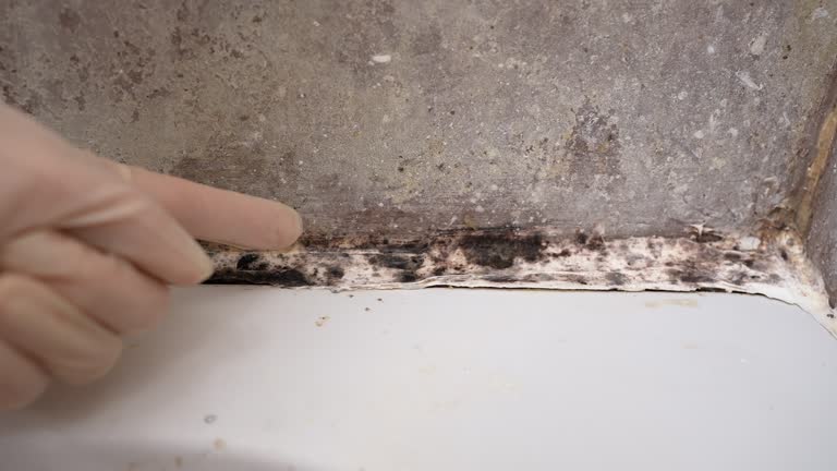 Best Post-Construction Mold Inspection  in Bloomingdale, NJ